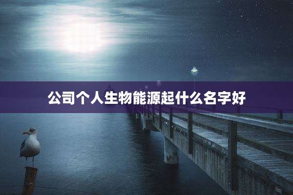 公司个人生物能源起什么名字好