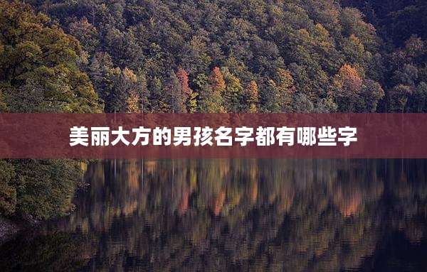 美丽大方的男孩名字都有哪些字