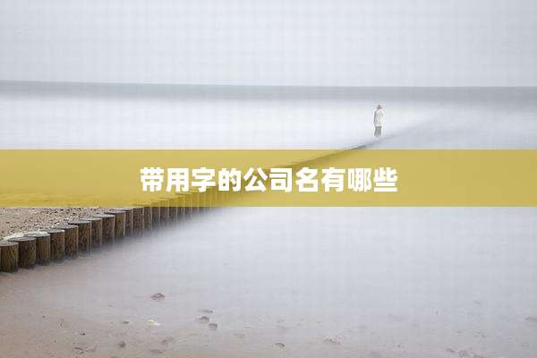 带用字的公司名有哪些