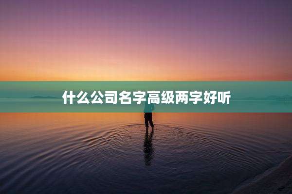 什么公司名字高级两字好听