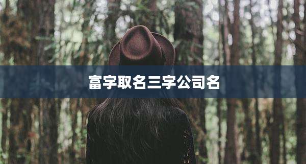 富字取名三字公司名