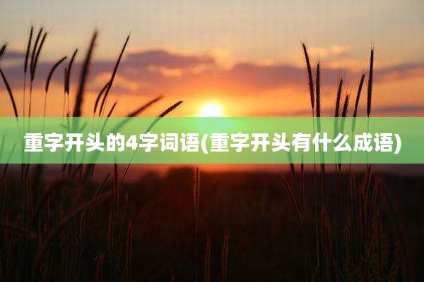 重字开头的4字词语(重字开头有什么成语)