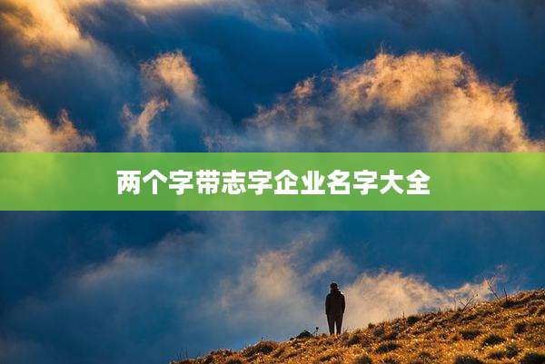 两个字带志字企业名字大全