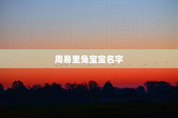周易里兔宝宝名字