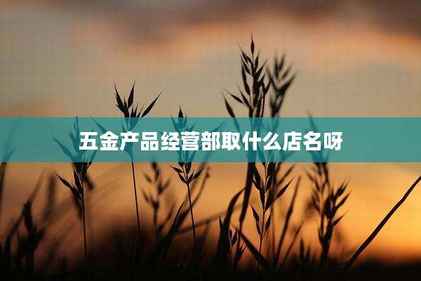 五金产品经营部取什么店名呀