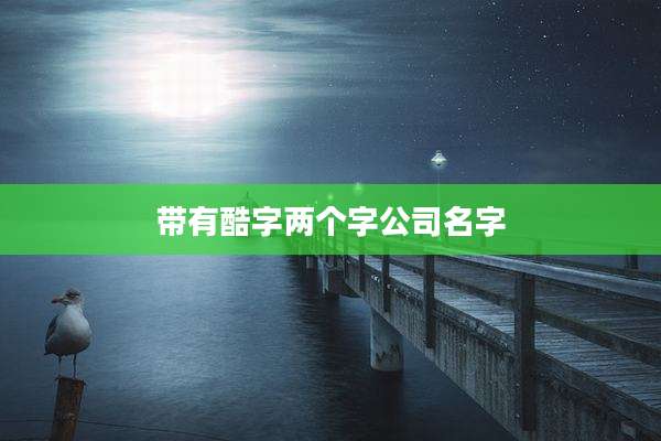 带有酷字两个字公司名字