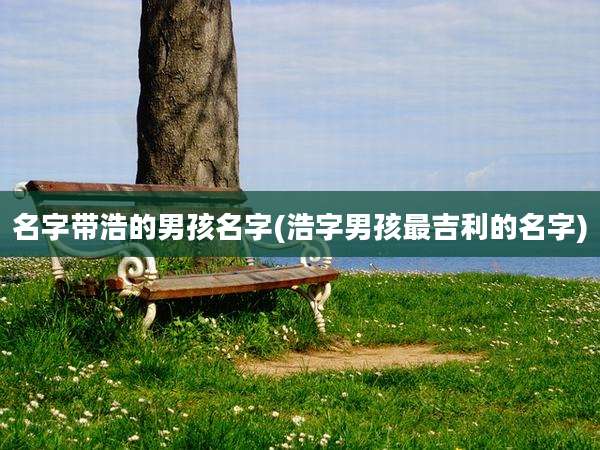 名字带浩的男孩名字(浩字男孩最吉利的名字)