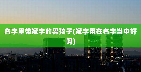 名字里带斌字的男孩子(斌字用在名字当中好吗)