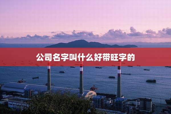 公司名字叫什么好带旺字的