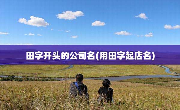田字开头的公司名(用田字起店名)