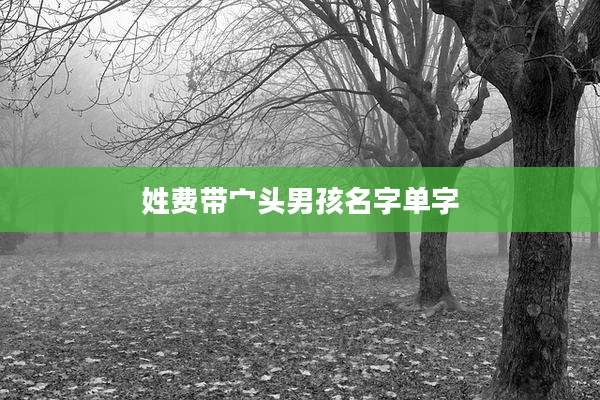姓费带宀头男孩名字单字