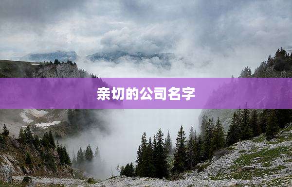 亲切的公司名字