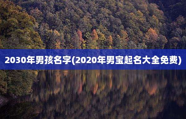 2030年男孩名字(2020年男宝起名大全免费)