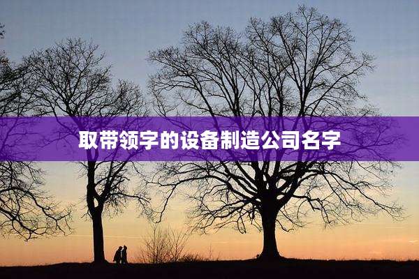 取带领字的设备制造公司名字