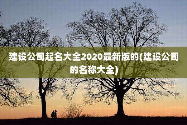 建设公司起名大全2020最新版的(建设公司的名称大全)