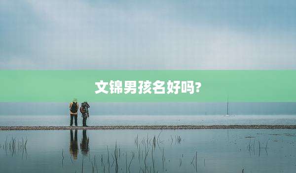 文锦男孩名好吗?