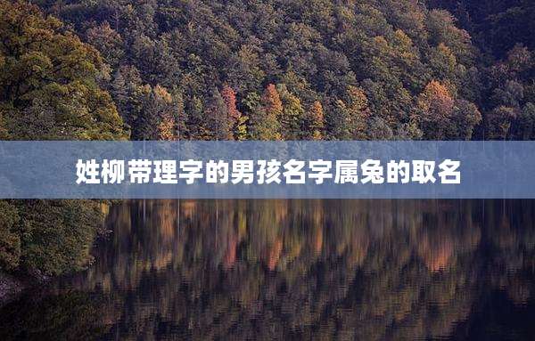 姓柳带理字的男孩名字属兔的取名