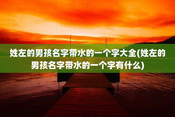 姓左的男孩名字带水的一个字大全(姓左的男孩名字带水的一个字有什么)