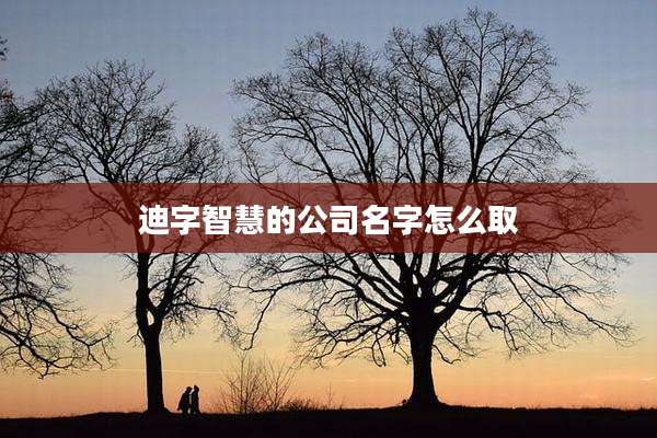 迪字智慧的公司名字怎么取
