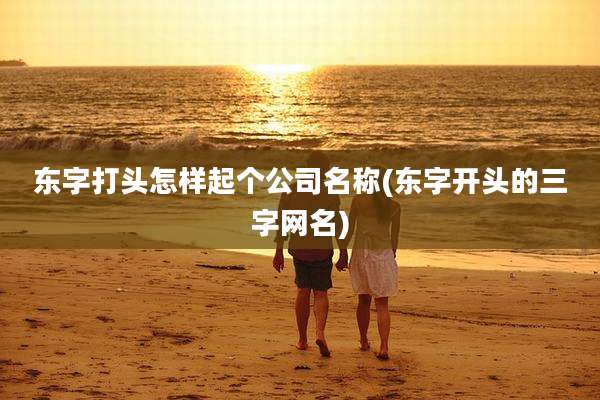 东字打头怎样起个公司名称(东字开头的三字网名)