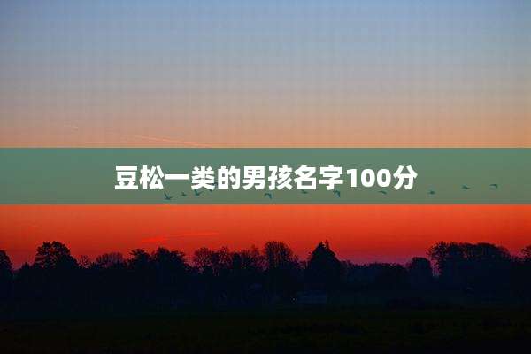 豆松一类的男孩名字100分