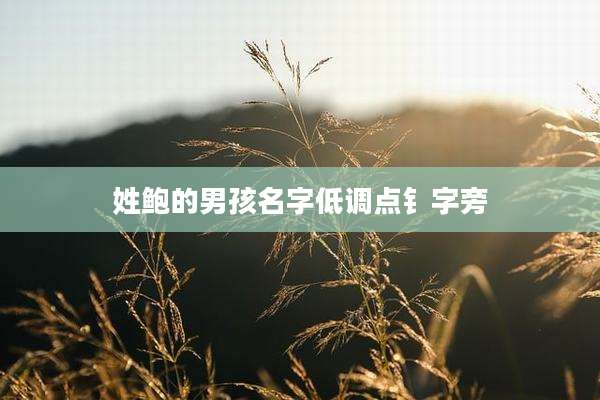 姓鲍的男孩名字低调点钅字旁