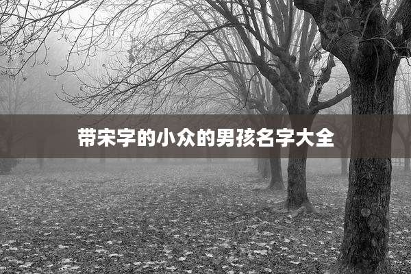 带宋字的小众的男孩名字大全