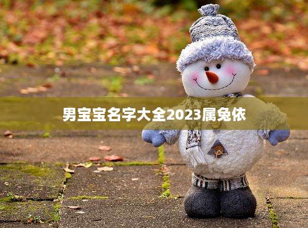 男宝宝名字大全2023属兔依