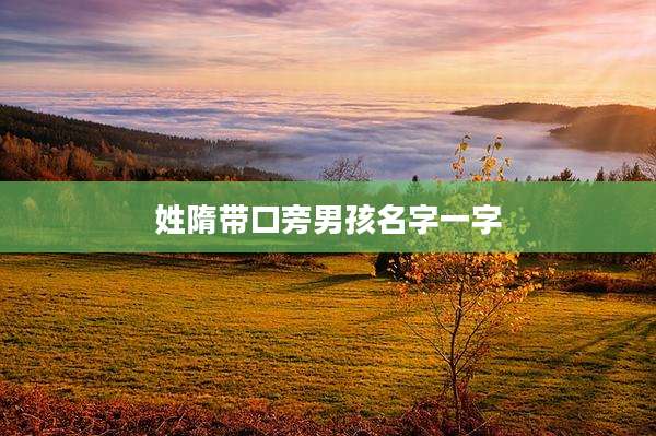姓隋带口旁男孩名字一字
