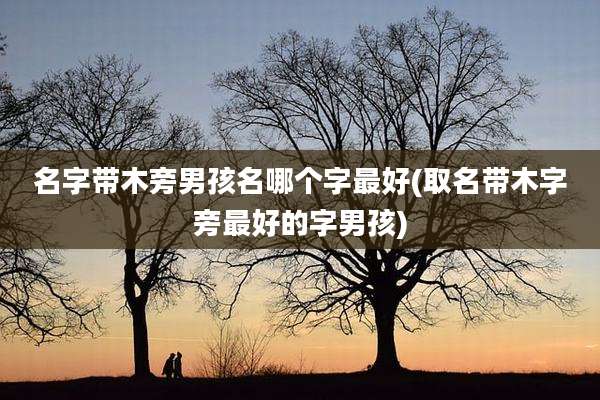 名字带木旁男孩名哪个字最好(取名带木字旁最好的字男孩)