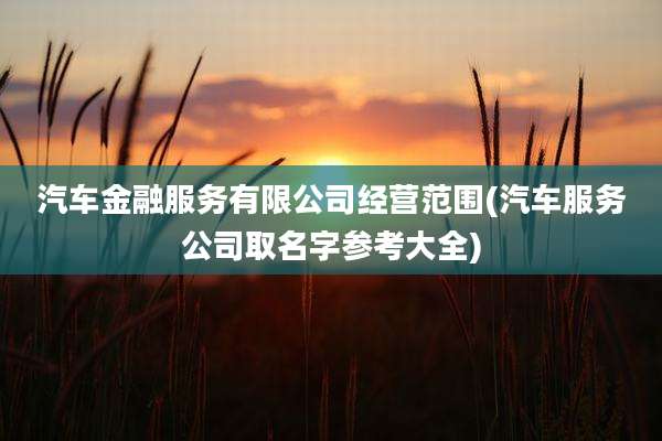 汽车金融服务有限公司经营范围(汽车服务公司取名字参考大全)