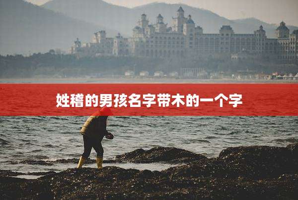 姓稽的男孩名字带木的一个字