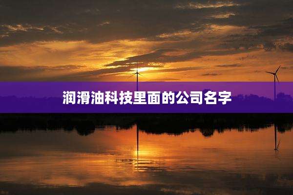 润滑油科技里面的公司名字