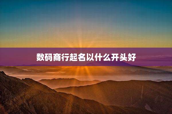 数码商行起名以什么开头好