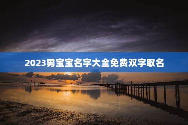 2023男宝宝名字大全免费双字取名