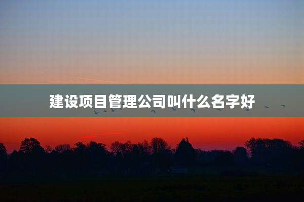 建设项目管理公司叫什么名字好