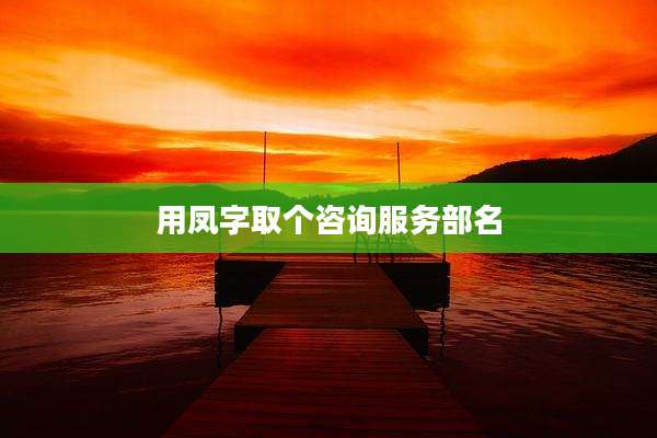 用凤字取个咨询服务部名