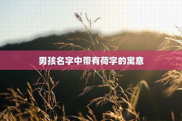 男孩名字中带有荷字的寓意