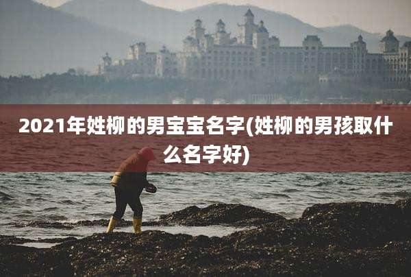 2021年姓柳的男宝宝名字(姓柳的男孩取什么名字好)
