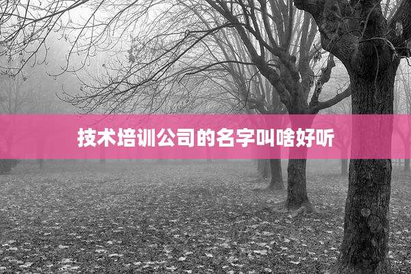 技术培训公司的名字叫啥好听