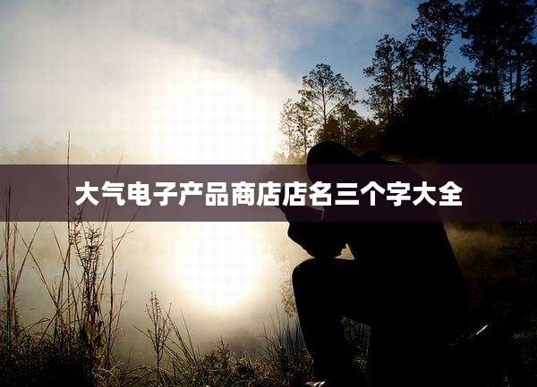 大气电子产品商店店名三个字大全