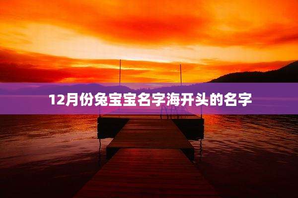 12月份兔宝宝名字海开头的名字
