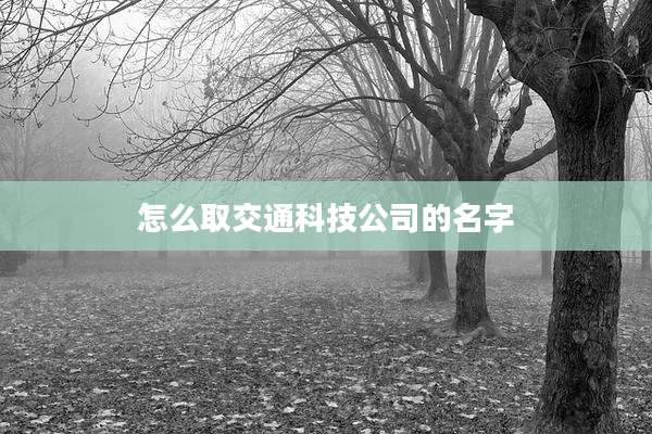 怎么取交通科技公司的名字