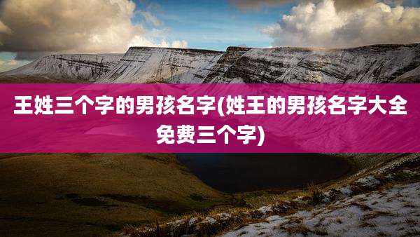 王姓三个字的男孩名字(姓王的男孩名字大全免费三个字)
