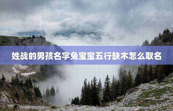 姓战的男孩名字兔宝宝五行缺木怎么取名