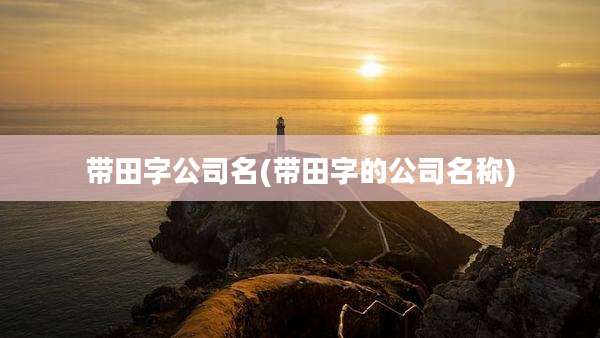 带田字公司名(带田字的公司名称)