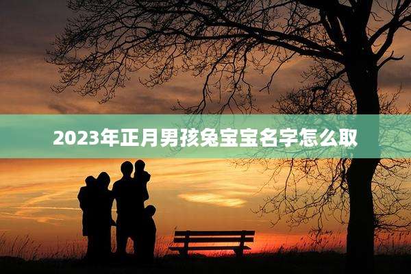 2023年正月男孩兔宝宝名字怎么取