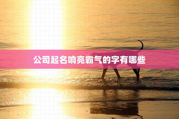 公司起名响亮霸气的字有哪些