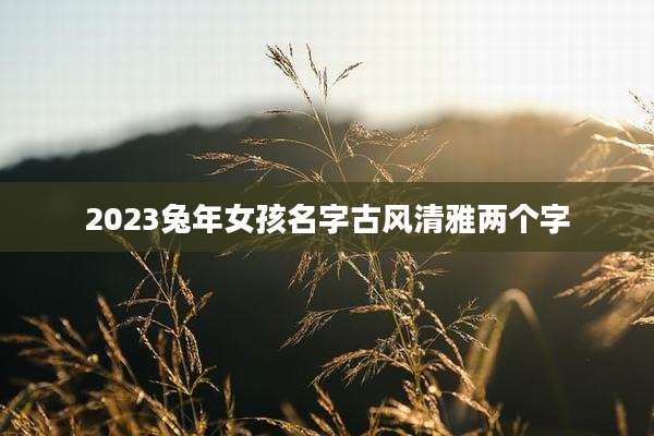 2023兔年女孩名字古风清雅两个字