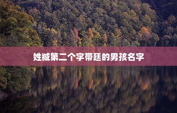 姓臧第二个字带廷的男孩名字
